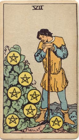 7 of Pentacles